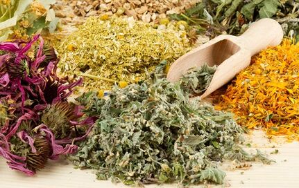 Herbs to increase the penis