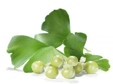 Male power becomes stronger with the use of Ginkgo biloba